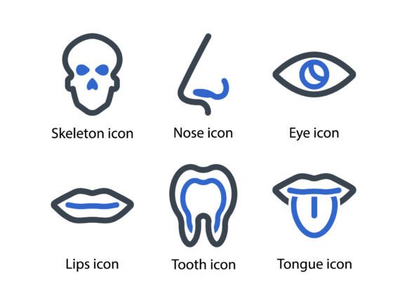 Human Body Organ Icon Set 1: A Versatile Tool for Designers and Developers